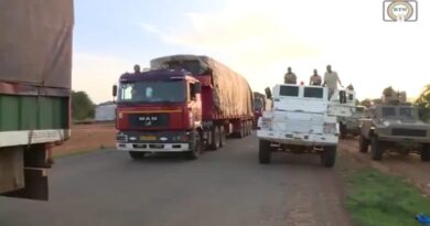 311 camions de marchandises transportés au Niger