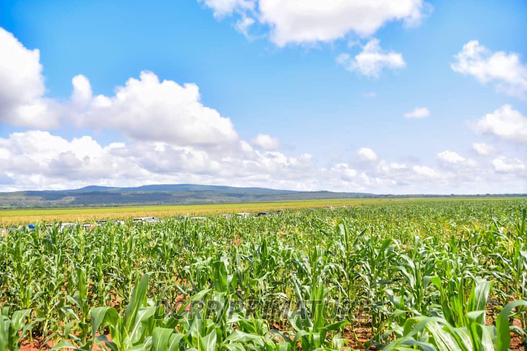 Burkina Initiative présidentielle pour l'autosuffisance alimentaire