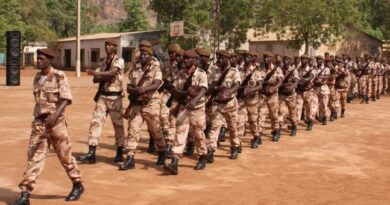 Police nationale du Mali