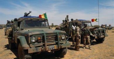 un chef terroriste abattu par l'armée malienne