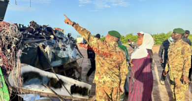 Mali: 16 morts et 48 blessés dans un accident de la route