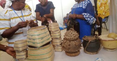 Stand du Sud-ouest-Gaoua