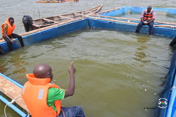 les eaux de Bapla dans le Sud-Ouest abritent désormais les cages flottantes