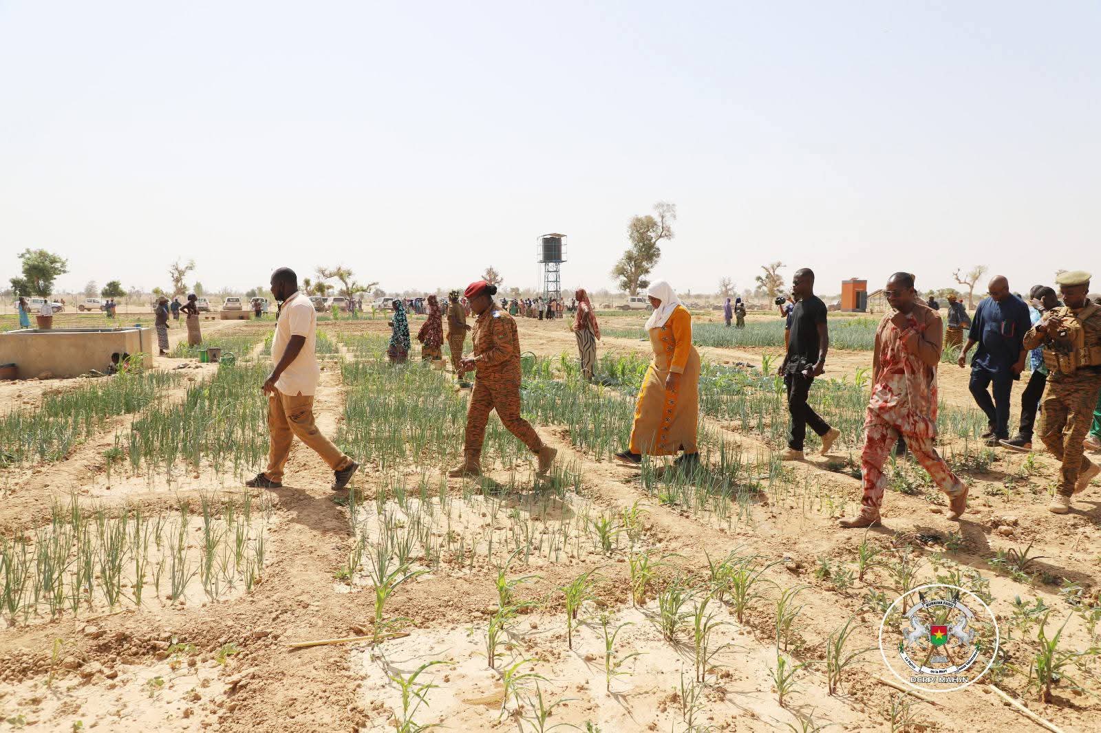 La visite guidée de la délégation ministérielle dans le périmètre du maraîcher